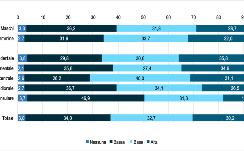 Teenagers italiani: solo tre su dieci sanno usare bene la Rete