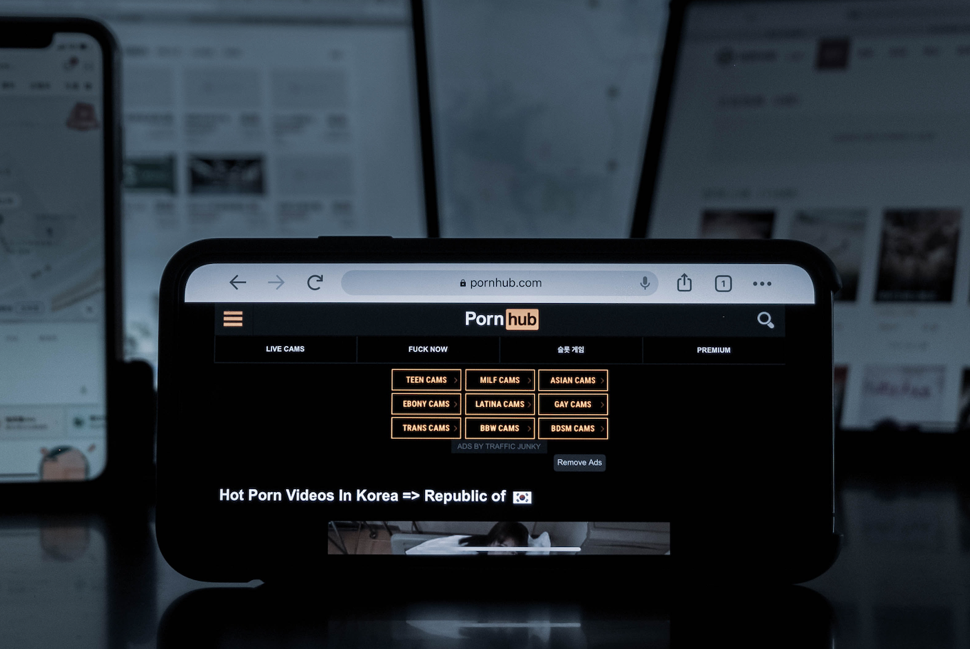 Pornhub e gli altri tempo di reagire