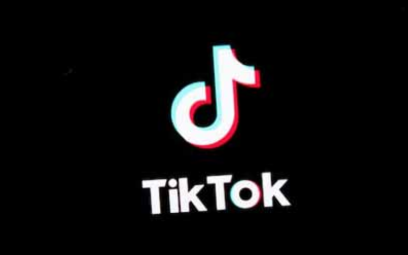 TikTok, il modello vincente online
